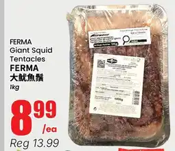 Terra Foodmart FERMA Giant Squid Tentacles offer