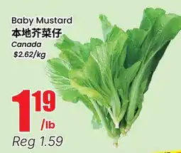 Terra Foodmart Baby Mustard offer