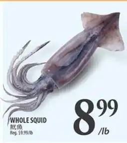 Al Premium Food Mart WHOLE SQUID offer