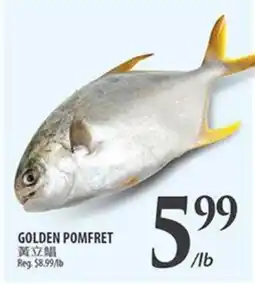 Al Premium Food Mart GOLDEN POMFRET offer