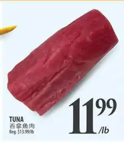 Al Premium Food Mart TUNA offer
