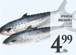Al Premium Food Mart SPANISH MACKEREL offer