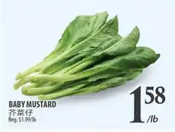 Al Premium Food Mart BABY MUSTARD offer