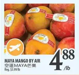 Al Premium Food Mart MAYA MANGO BY AIR offer