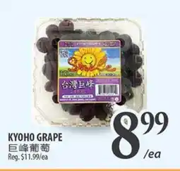 Al Premium Food Mart KYHO GRAPE offer