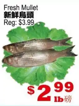 Yuan Ming Supermarket Fresh Mullet offer