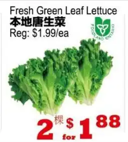 Yuan Ming Supermarket Fresh Green Leaf Lettuce offer