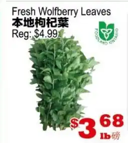 Yuan Ming Supermarket Fresh Wolfberry Leaves offer