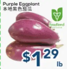 Oceans Fresh Food Market Purple Eggplant offer