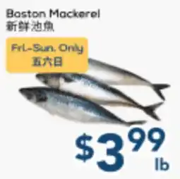 Oceans Fresh Food Market Boston Mackerel offer