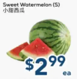 Oceans Fresh Food Market Sweet Watermelon (S) offer