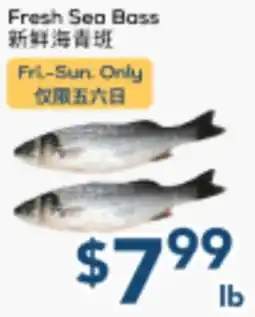 Oceans Fresh Food Market Fresh Sea Bass offer