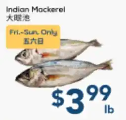 Oceans Fresh Food Market Indian Mackerel offer