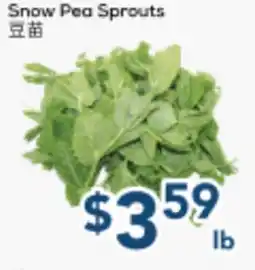 Oceans Fresh Food Market Snow Pea Sprouts offer