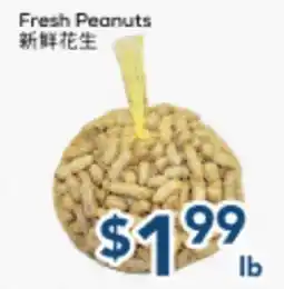Oceans Fresh Food Market Fresh Peanuts offer