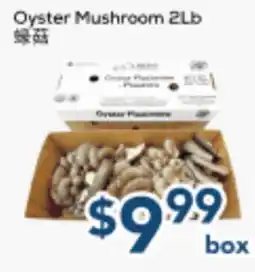 Oceans Fresh Food Market Oyster Mushroom 2Lb offer