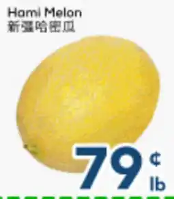 Oceans Fresh Food Market Hami Melon offer