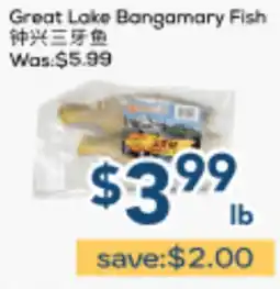 Oceans Fresh Food Market Great Lake Bangamary Fish offer