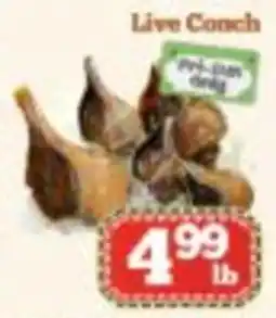 Nations Fresh Foods Live Conch offer