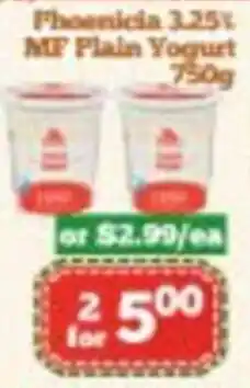 Nations Fresh Foods Phoenicia MF Plain Yogurt offer