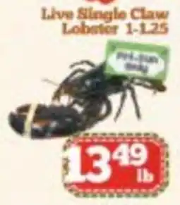 Nations Fresh Foods Live Single Claw Lobster offer