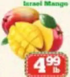 Nations Fresh Foods Israel Mango offer