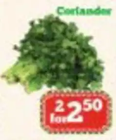 Nations Fresh Foods Coriander offer