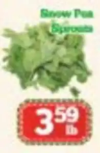 Nations Fresh Foods Snow Pea Sprouts offer