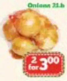 Nations Fresh Foods Onions offer