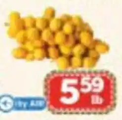 Nations Fresh Foods yellow corn offer