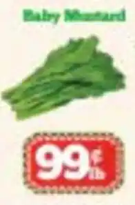Nations Fresh Foods Baby Mustard offer
