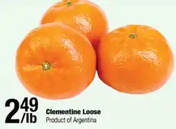 Arz Fine Foods Clementine Loose offer