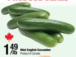 Arz Fine Foods Mini English Cucumber offer