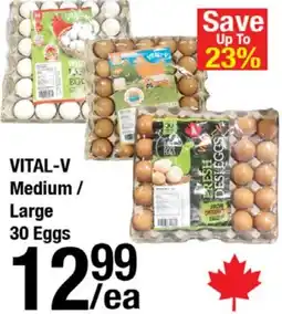Arz Fine Foods Vital-v medium large eggs offer