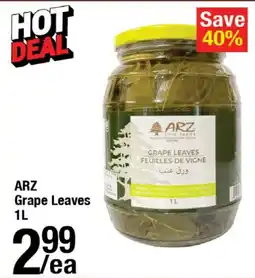 Arz Fine Foods Arz grape leaves offer