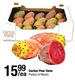 Arz Fine Foods Cactus Pear Case offer