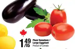 Arz Fine Foods Plum Tomatoes / Large Eggplant offer