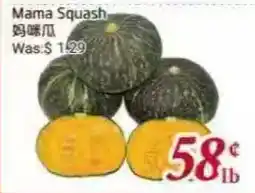 Tone Tai Supermarket Mama Squash offer