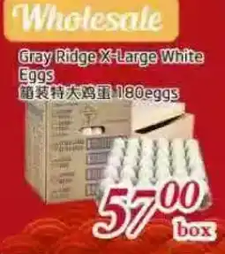 Tone Tai Supermarket Gray Ridge X-Large White Eggs offer