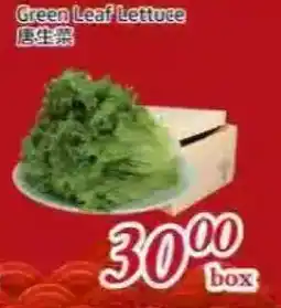 Tone Tai Supermarket Green Leaf Lettuce offer