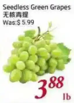 Tone Tai Supermarket Seedless Green Grapes offer