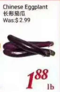 Tone Tai Supermarket Chinese Eggplant offer