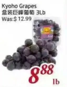 Tone Tai Supermarket Kyoho Grapes offer