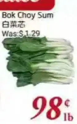 Tone Tai Supermarket Bok Choy Sum offer