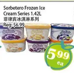 Food Depot Supermarket Sorbetero Frozen Ice Cream Series offer