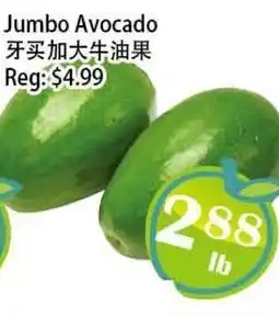 Food Depot Supermarket Jumbo Avocado offer
