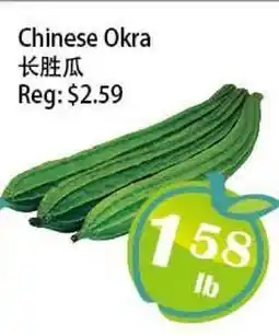 Food Depot Supermarket Chinese Okra offer