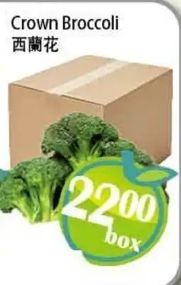Food Depot Supermarket Crown Broccoli offer