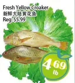 Food Depot Supermarket Fresh Yellow Croaker offer