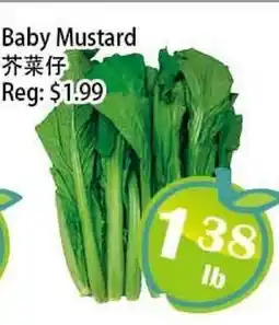 Food Depot Supermarket Baby Mustard offer